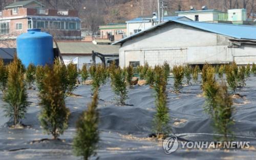 LH 직원들의 땅투기가 이뤄진 시흥시 과림동 현장. [사진 = 연합뉴스]