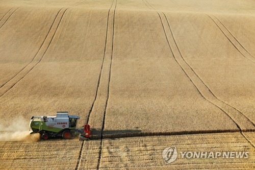 러시아의 밀농장, [사진 = 로이터/연합뉴스]
