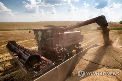 우크라이나의 광활한 밀 재배농장. [사진 = 로이터/연합뉴스]